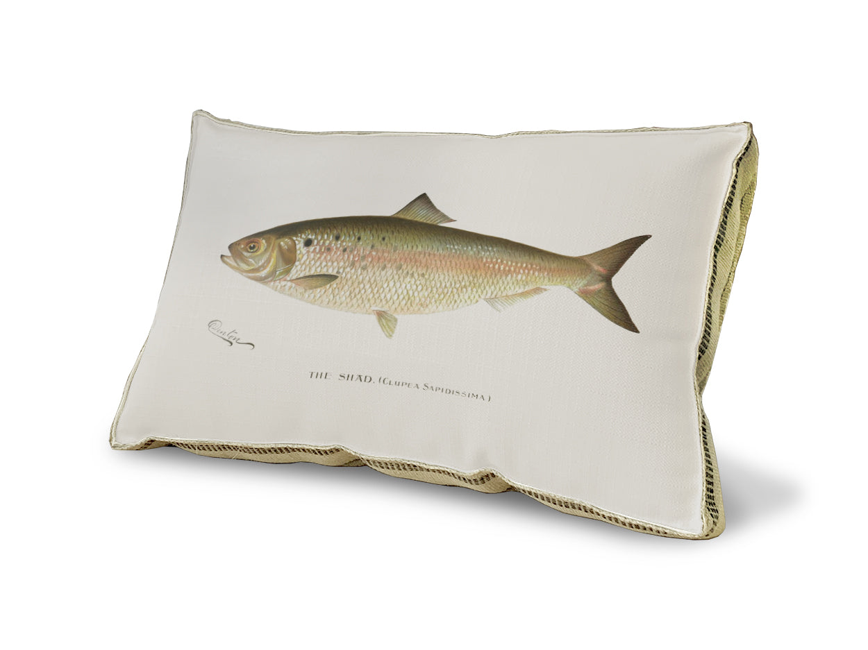 Shad pillow