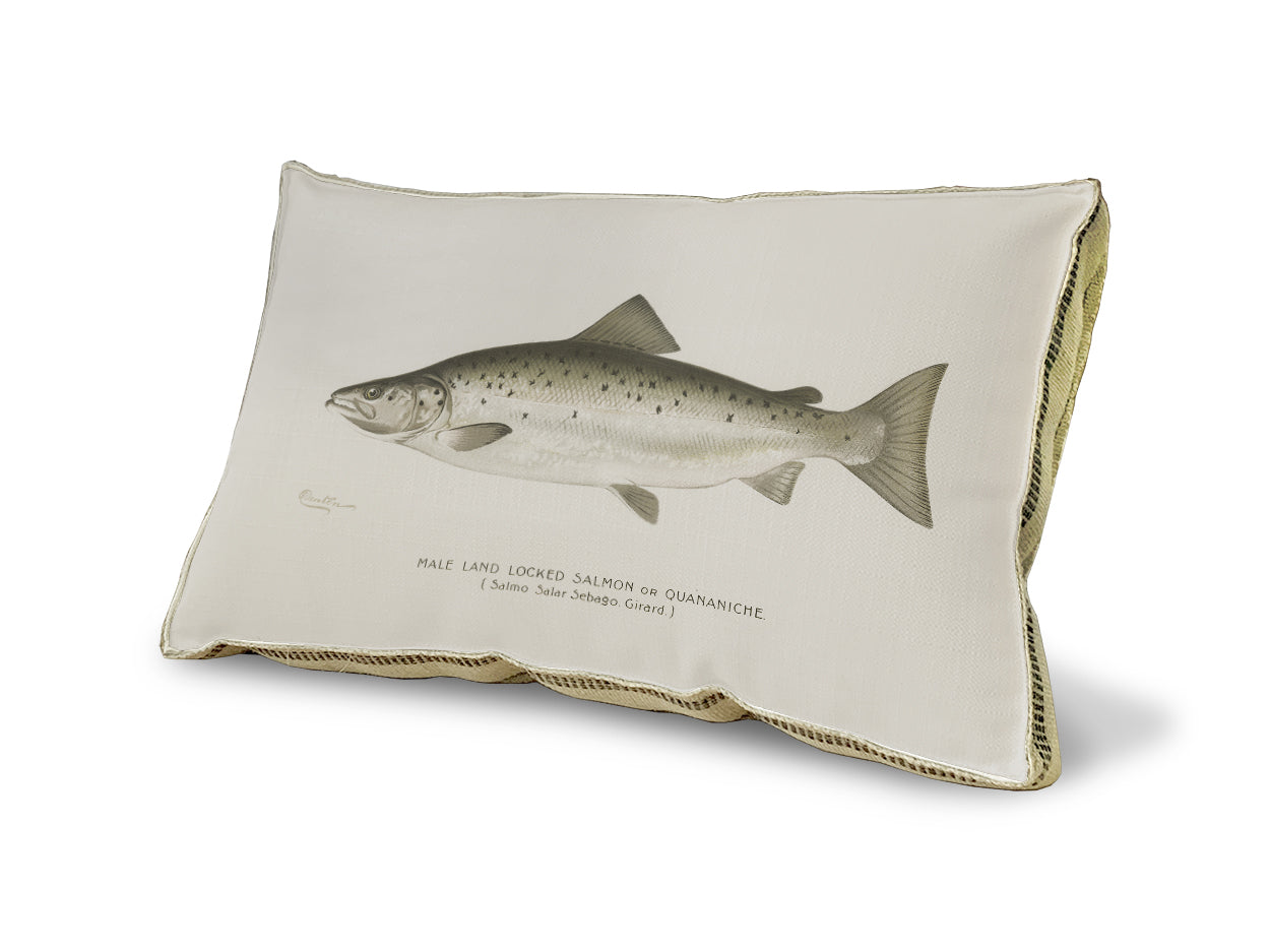 Fish IV pillow