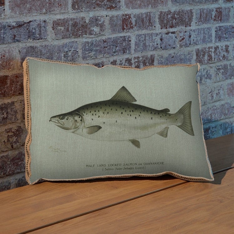 Fish IV pillow
