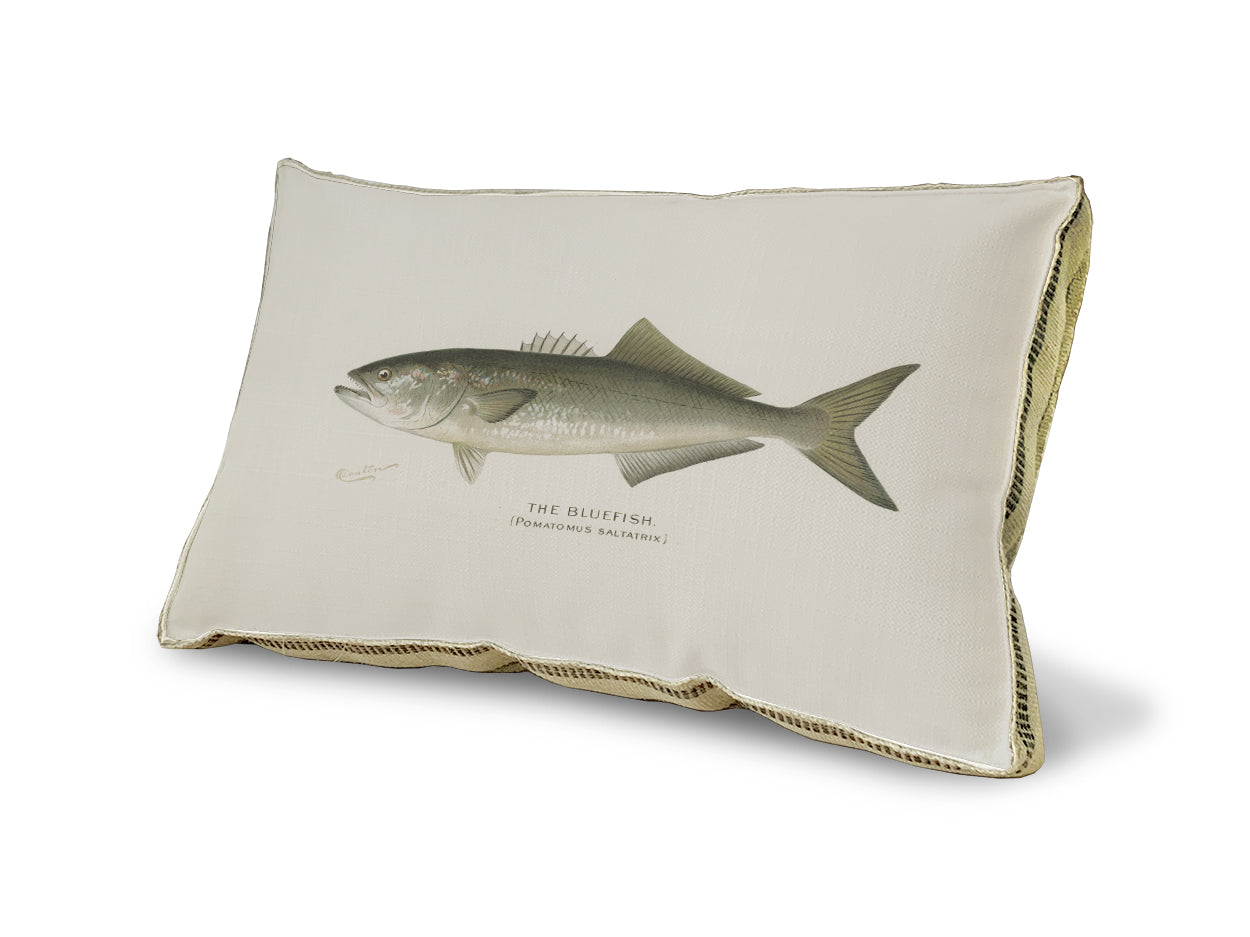 Bluefish pillow