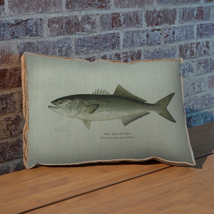 Bluefish pillow