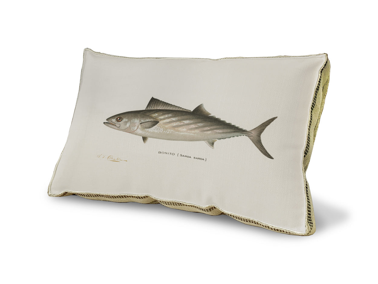 Bonito pillow