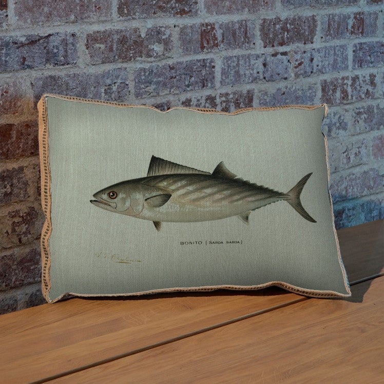 Bonito pillow