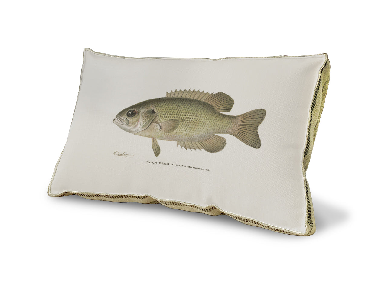Rock Bass pillow
