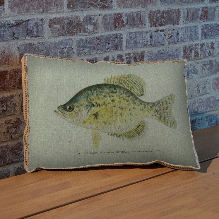 Calico Bass pillow