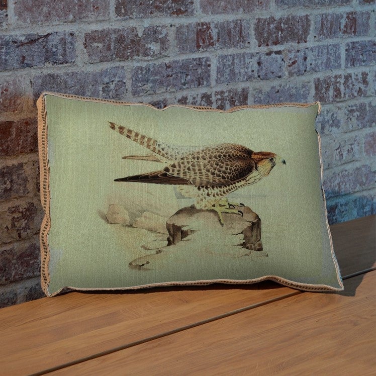 Hawk pillow