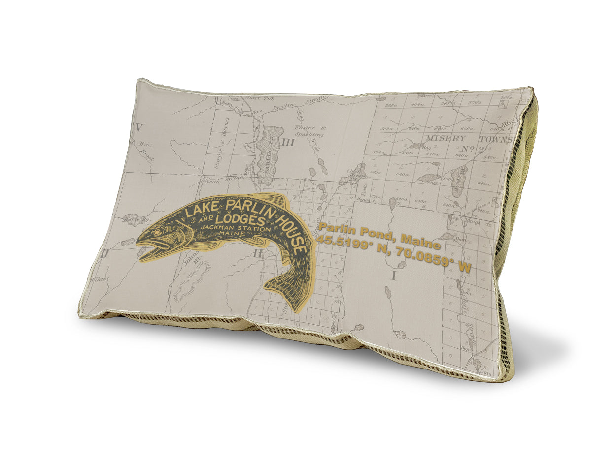 Parlin Pond pillow