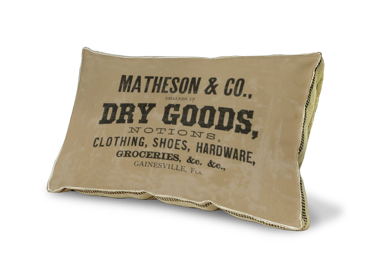 Dry Goods pillow