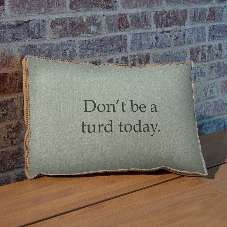 Don't be a turd today pillow