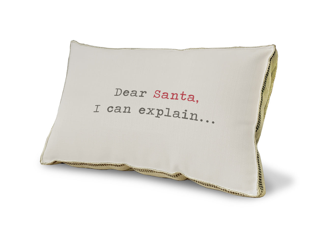 Dear Santa I Can Explain pillow
