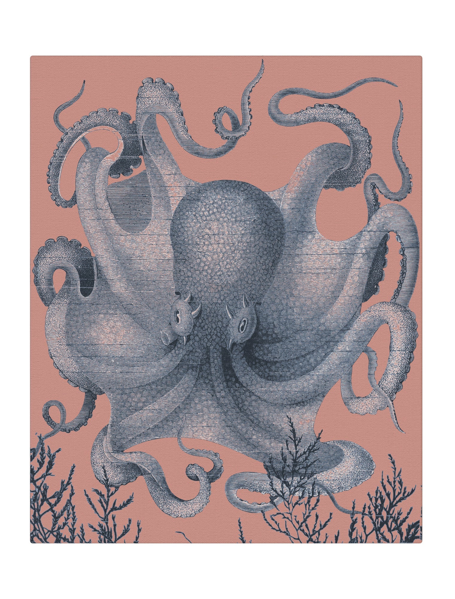 Octopus III Full blue with coral background
