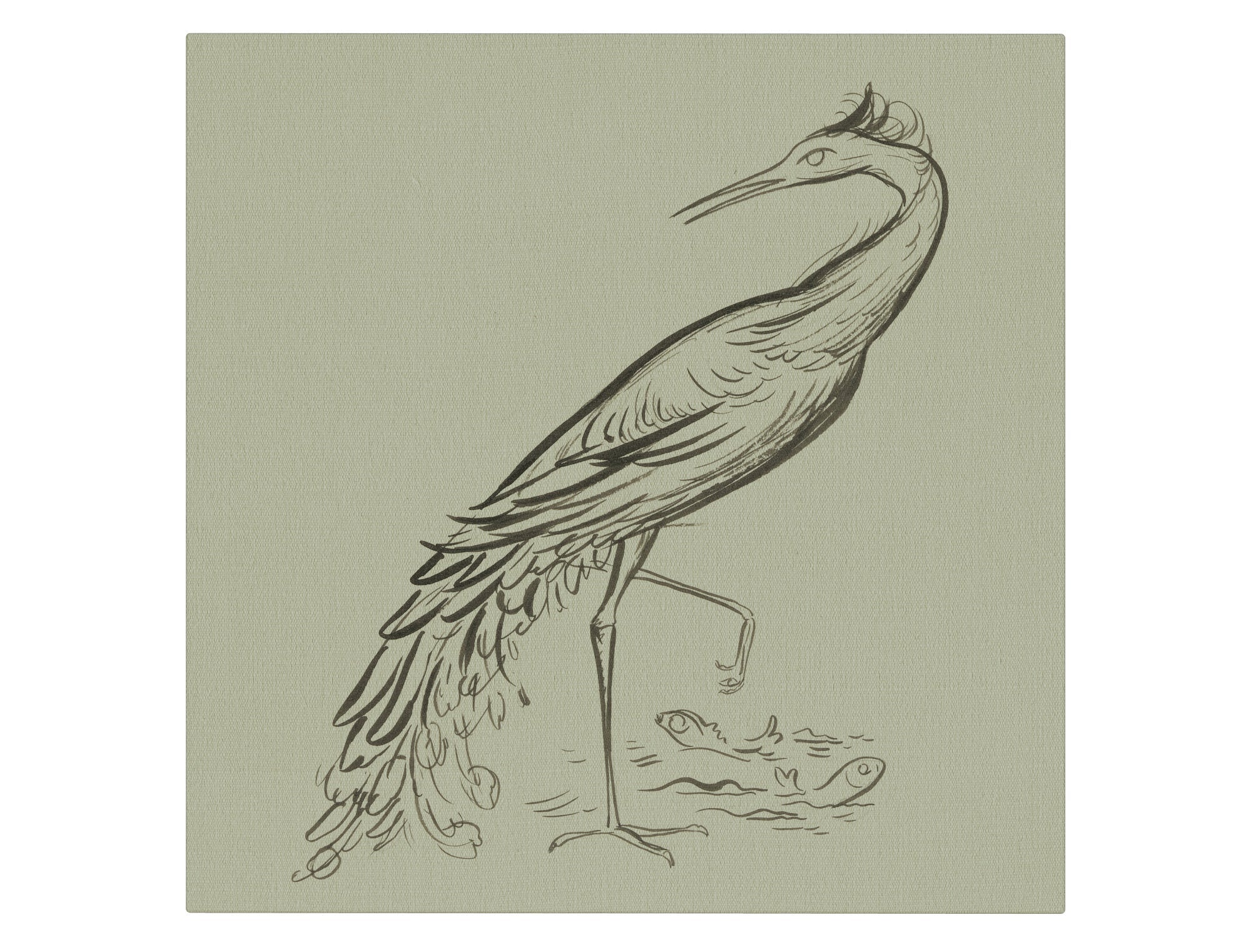 Egret Sketch