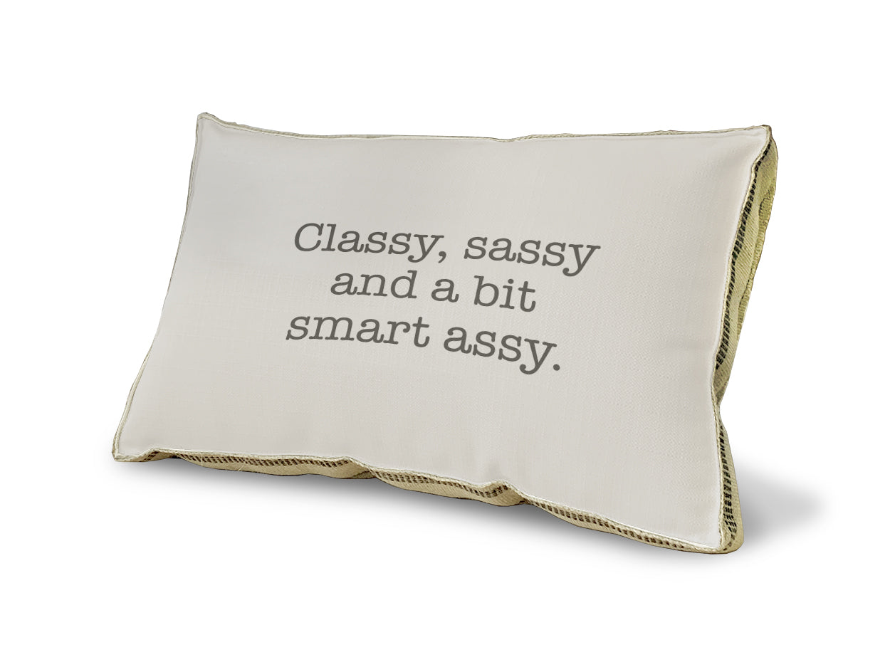 Classy, Sassy pillow