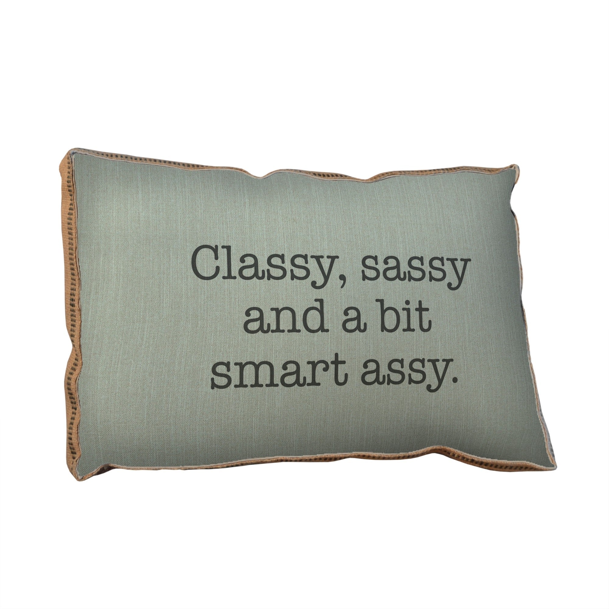 Classy, Sassy and a bit Smart Assy pillow