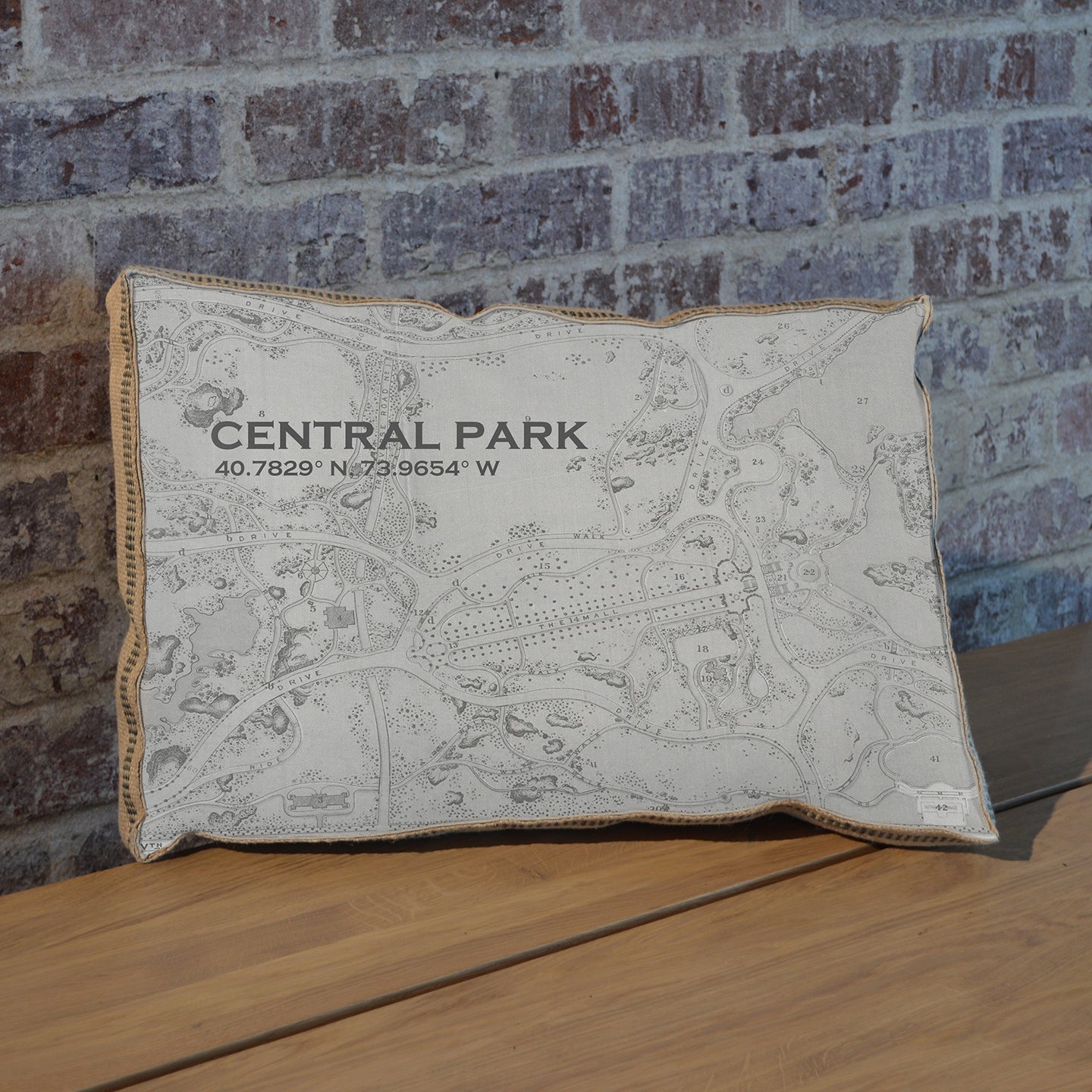 Central Park GPS pillow