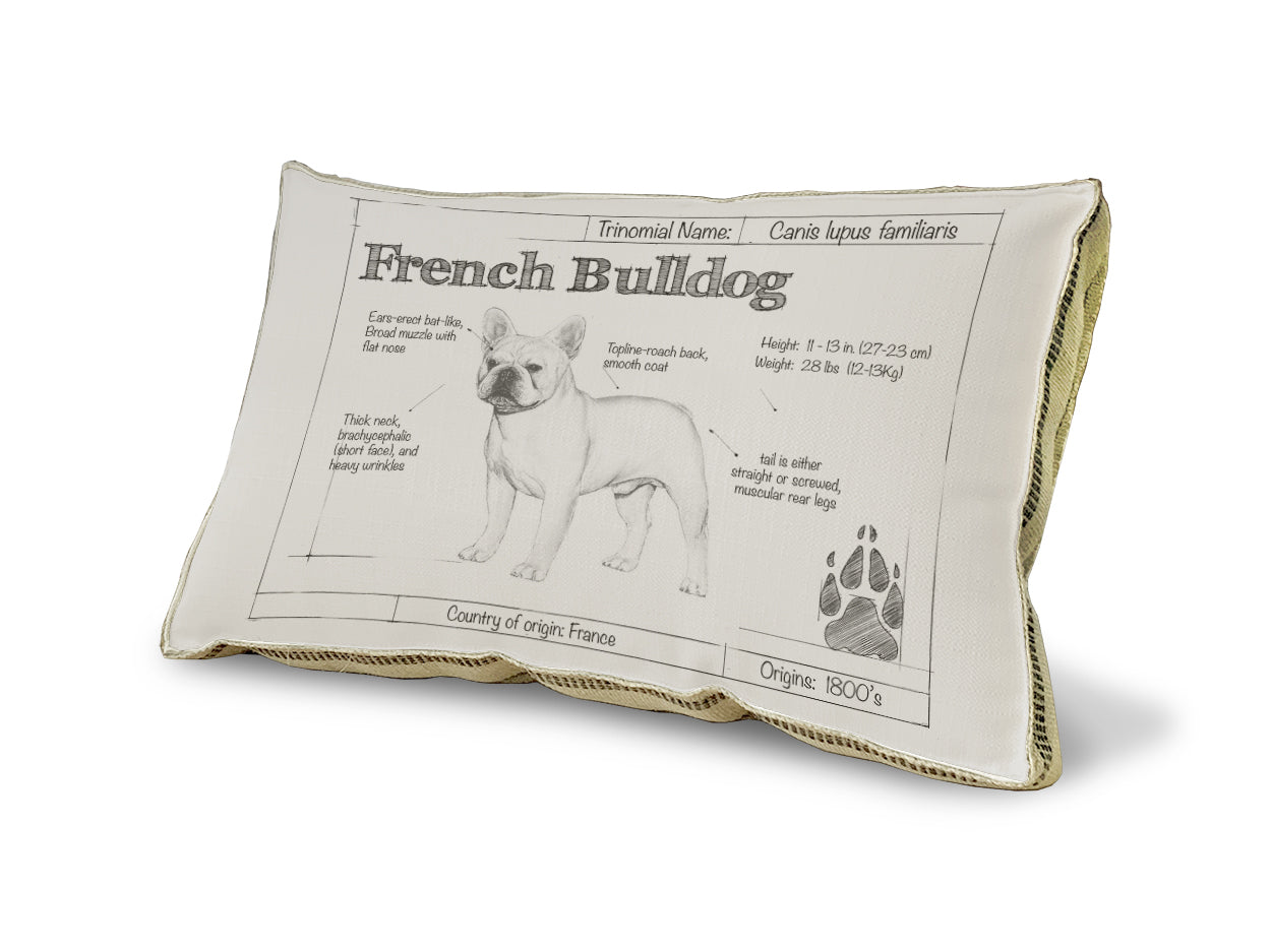 French Bulldog pillow