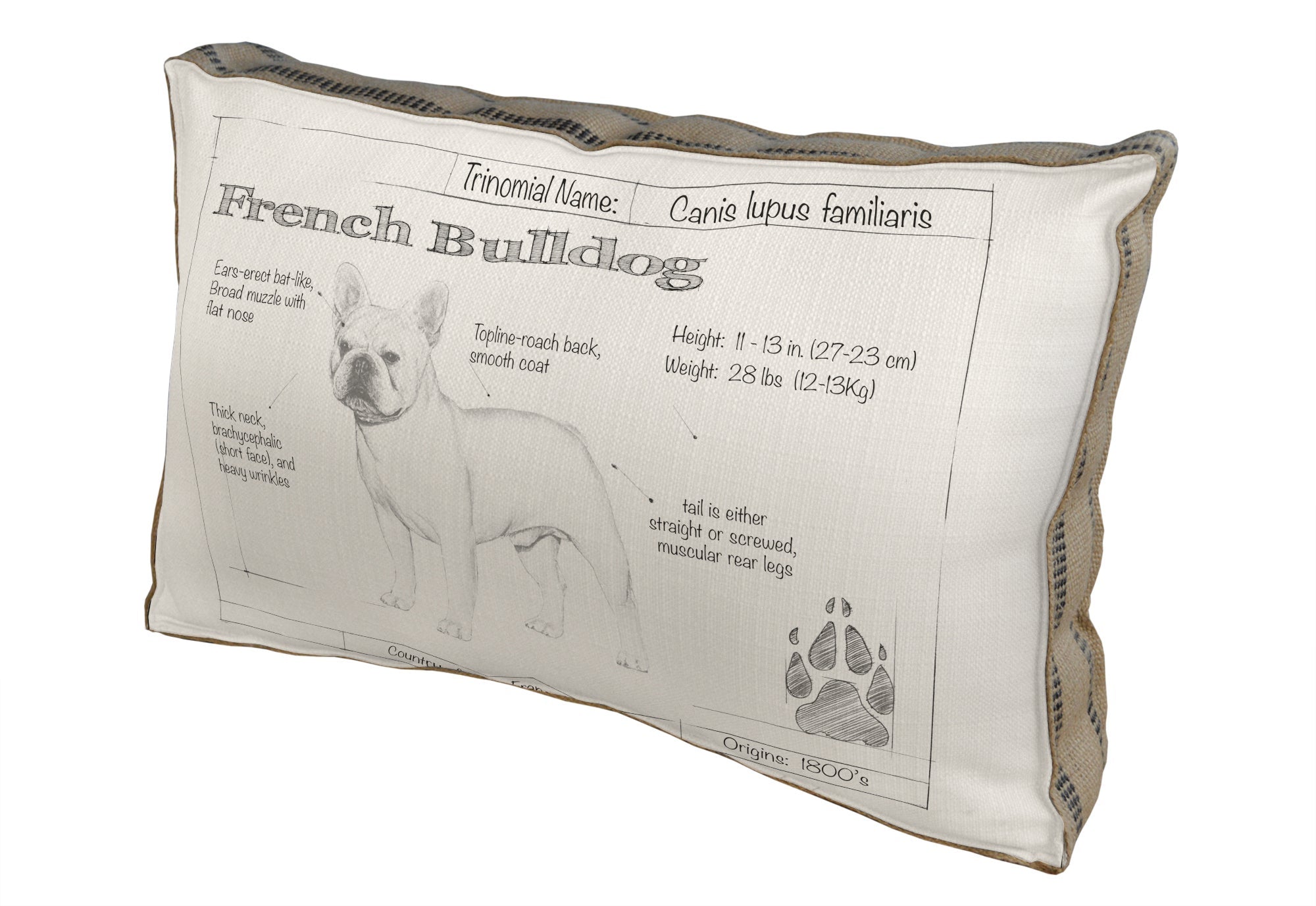 French Bulldog pillow - Animals and Nature