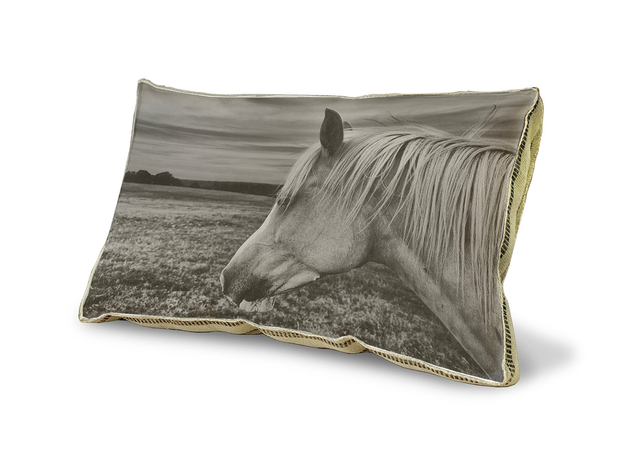 Horse in a Field 02 pillow