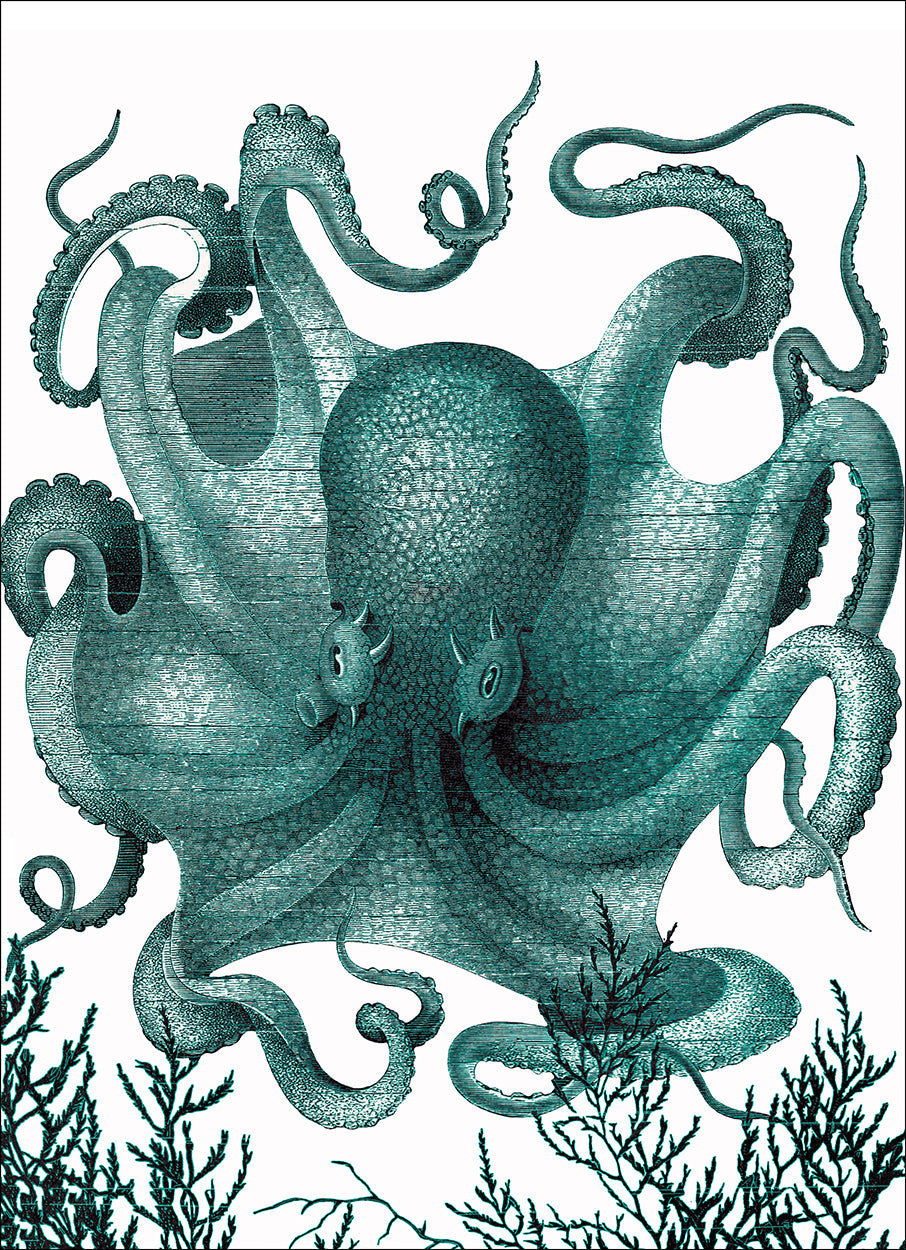 Octopus Seafoam Full
