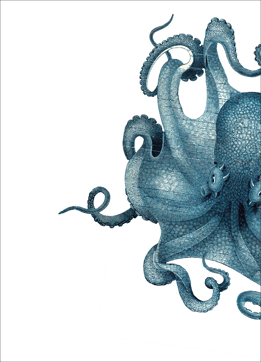 Octopus Study Right Blue