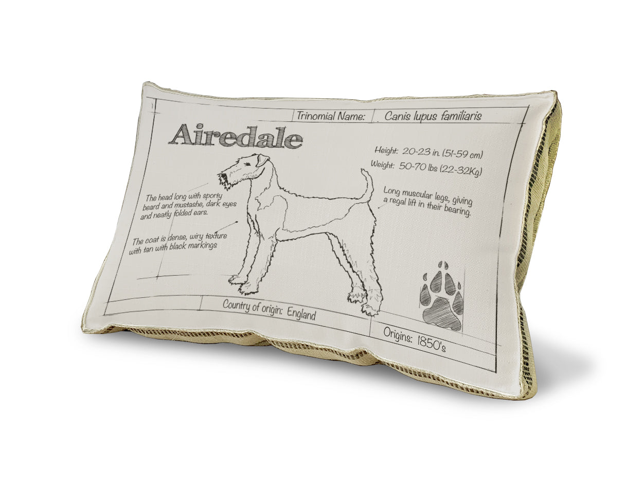 Airedale Blueprint Pillow