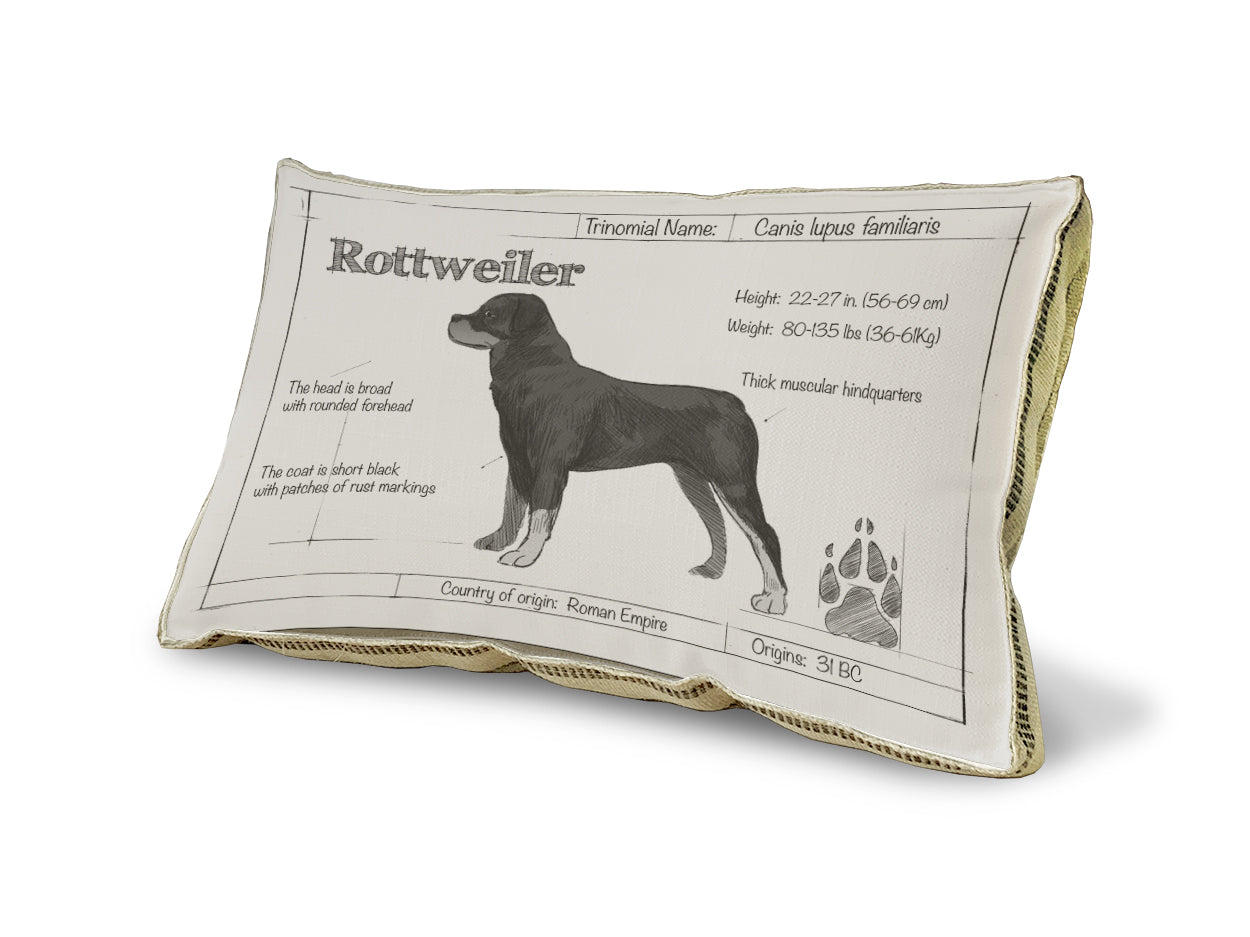 Rottweiler Blueprint Pillow