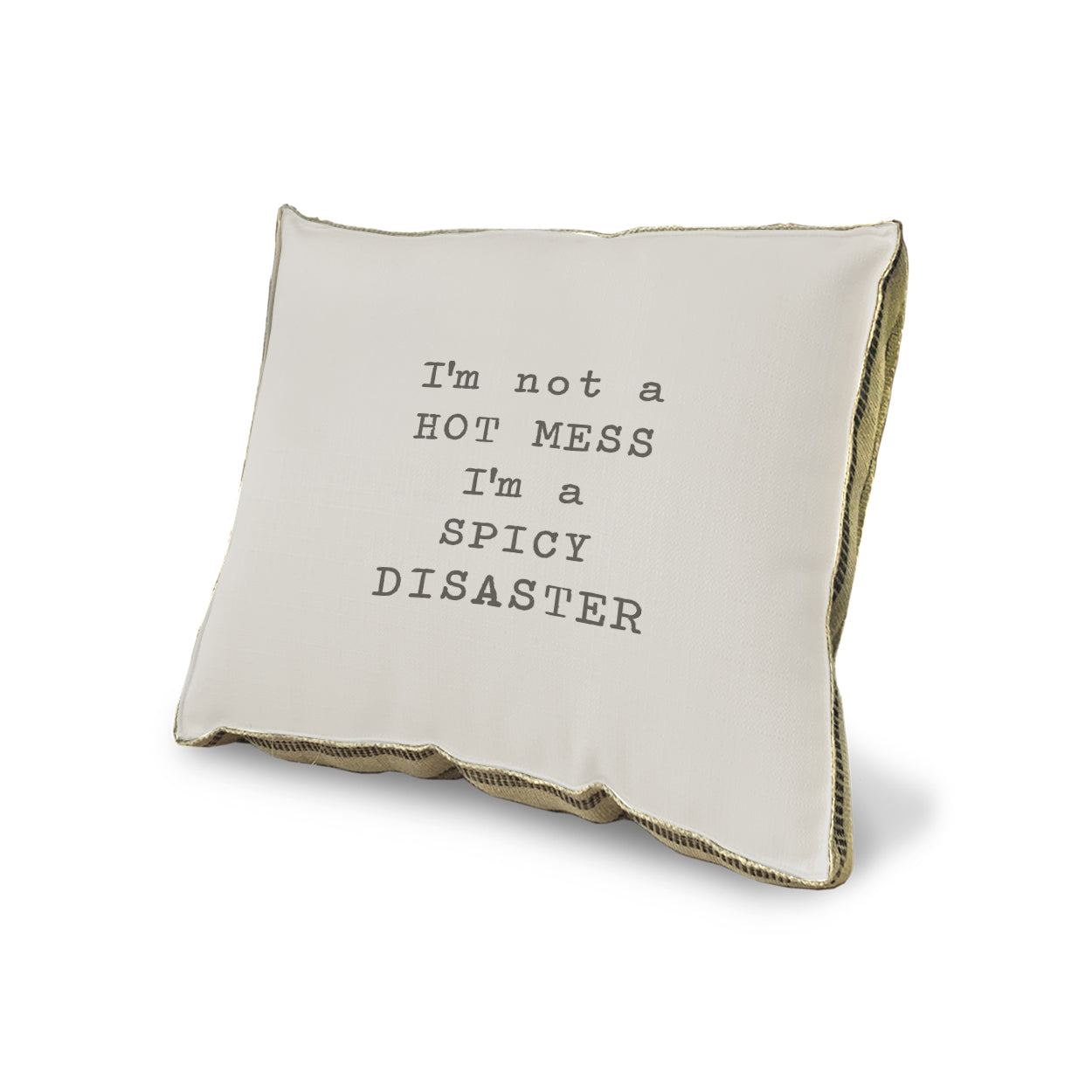 I'm not a hot mess pillow