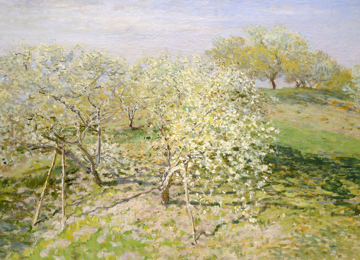 Orchard III