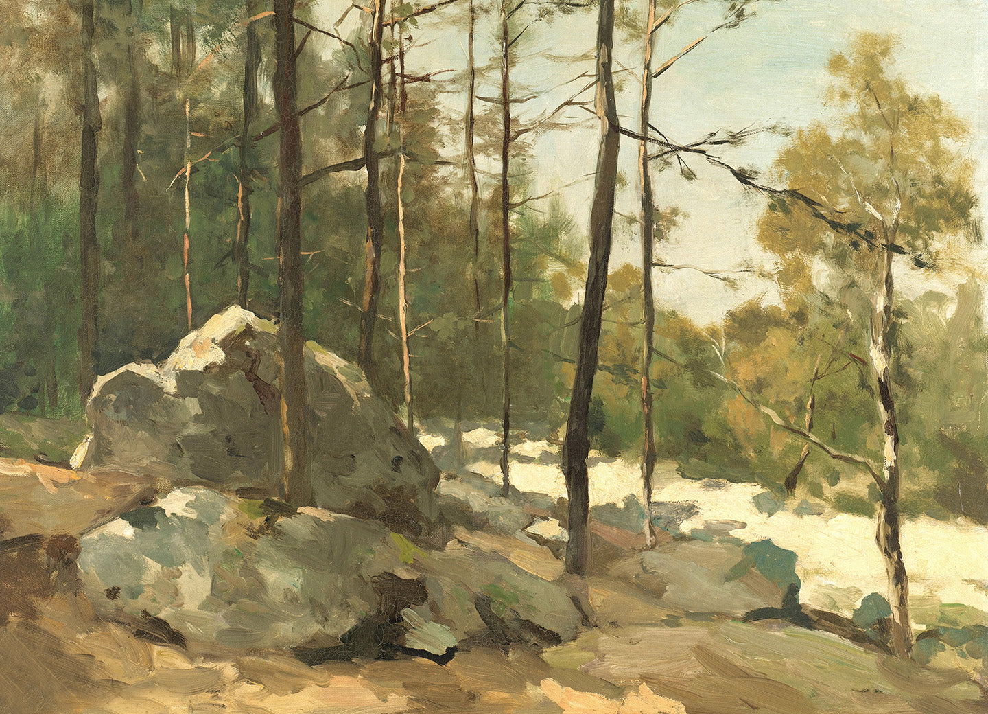 Afternoon in the Forest