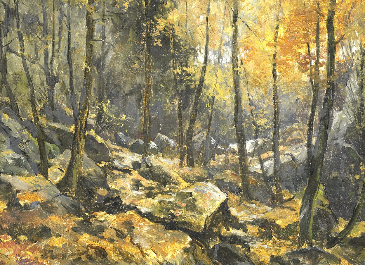 Forest in Autumn