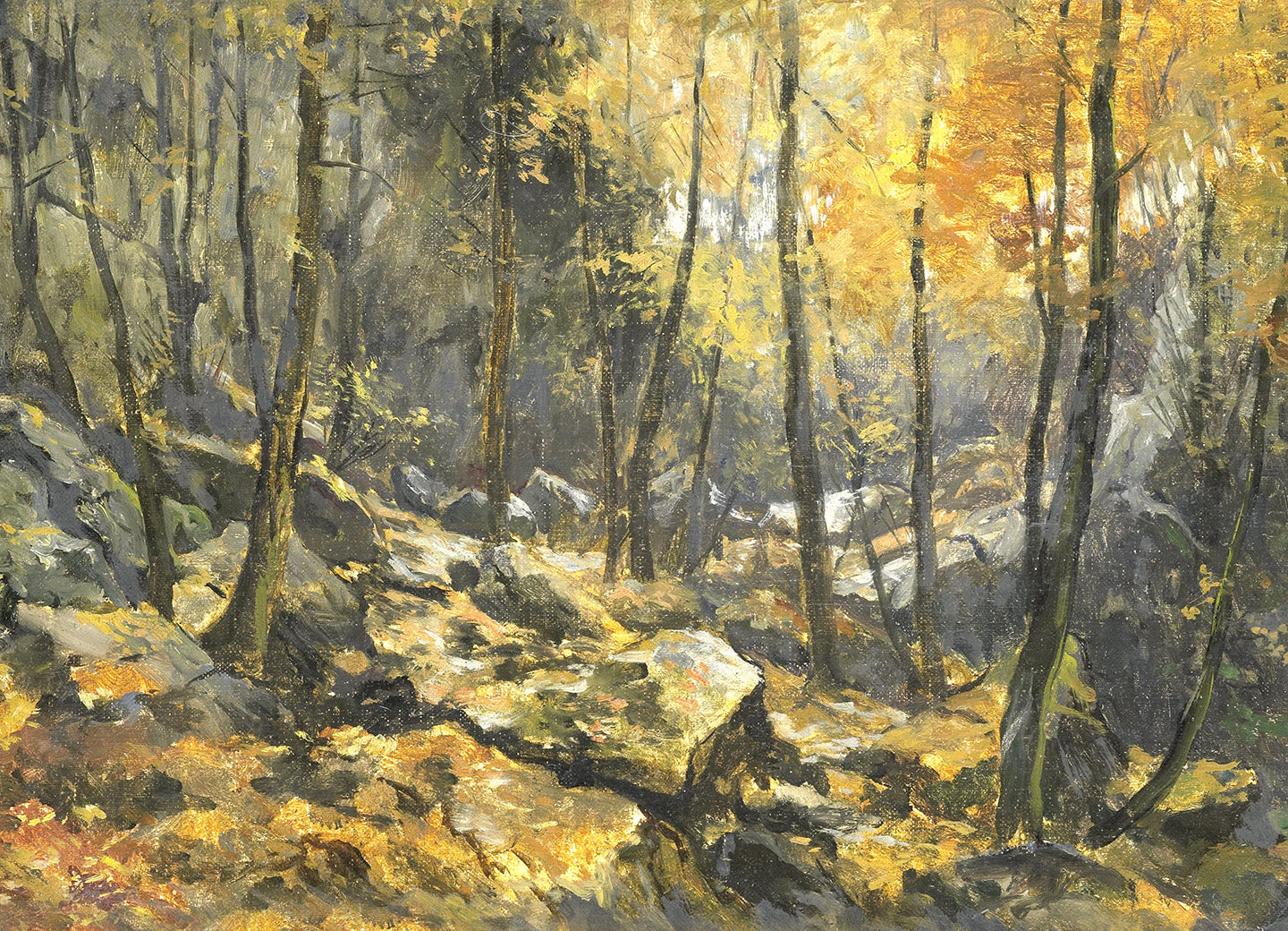 Forest in Autumn