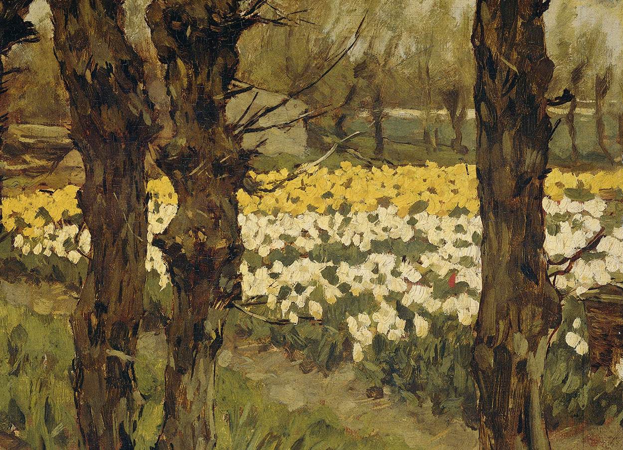 Tulip Field by Forest