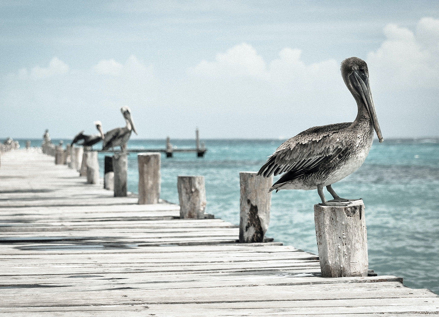 Sitting on the Dock