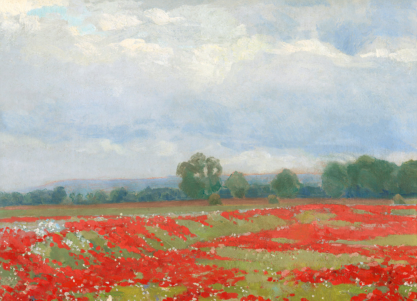 Poppie Field