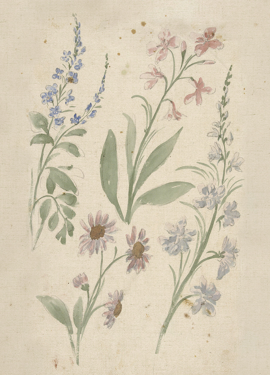 Watercolor Flowers I
