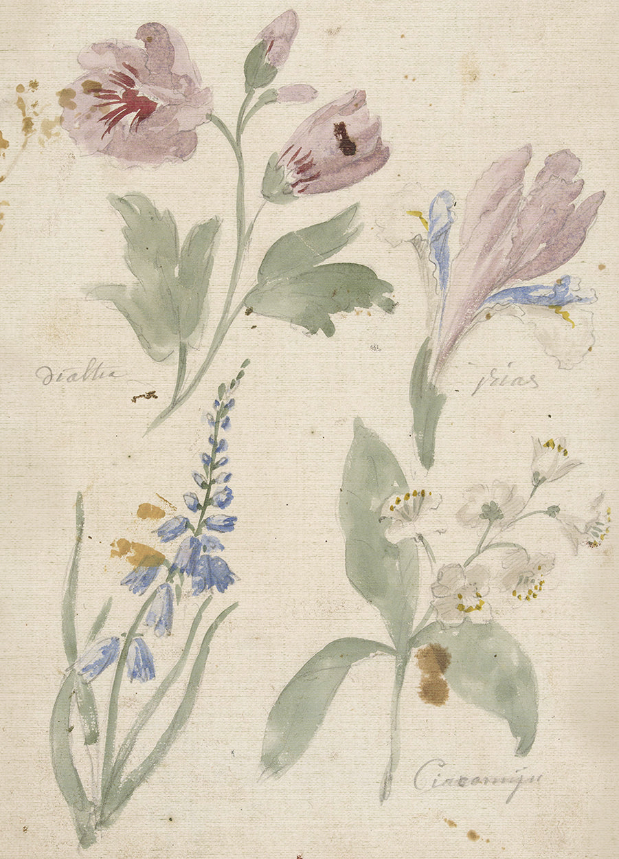 Watercolor Flowers II