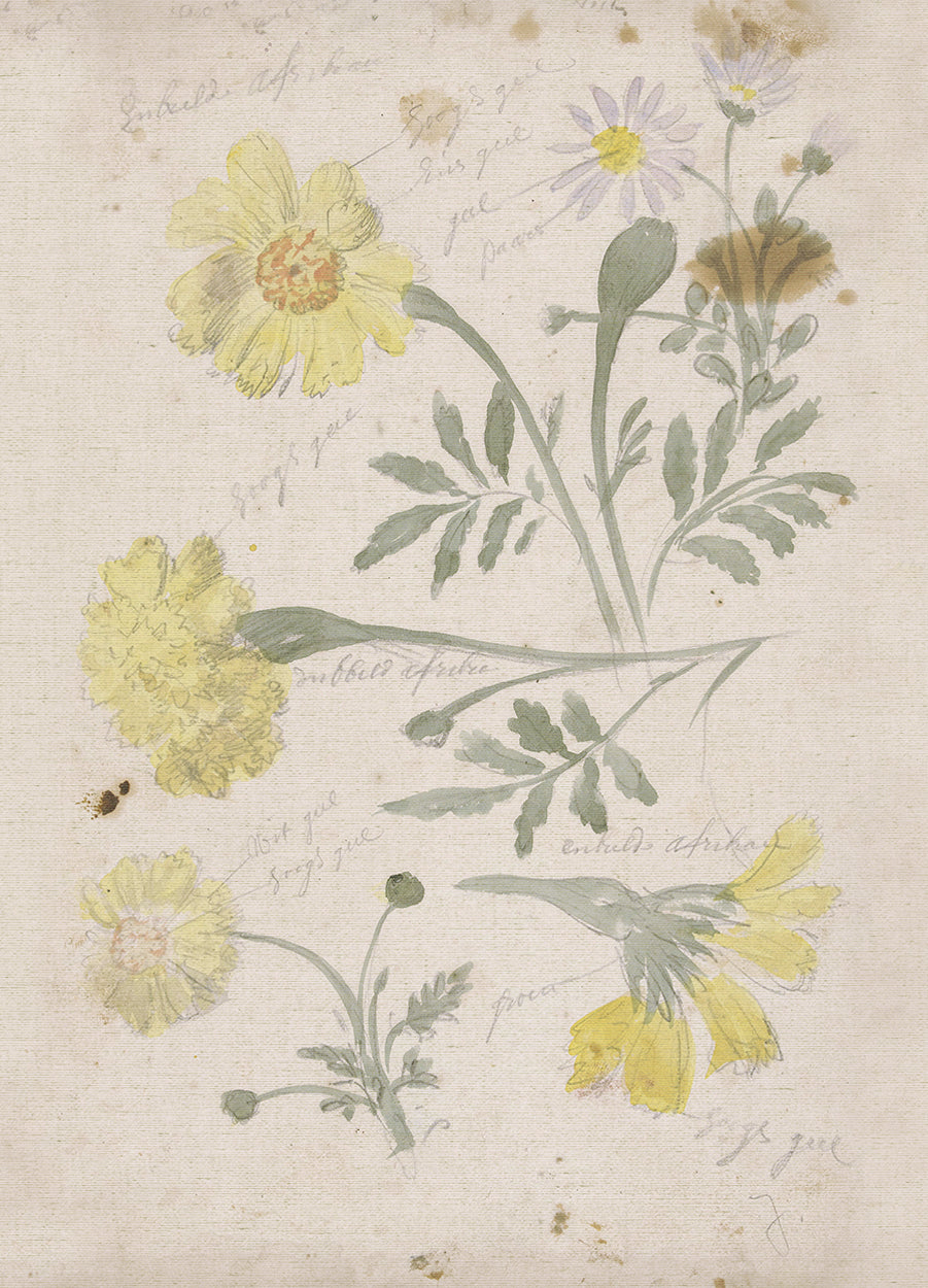 Watercolor Flowers III