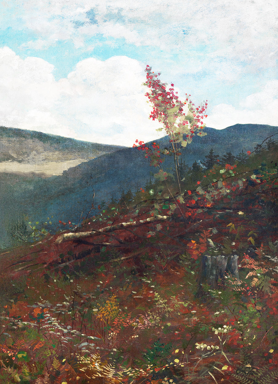 Mountain Pass Vertical
