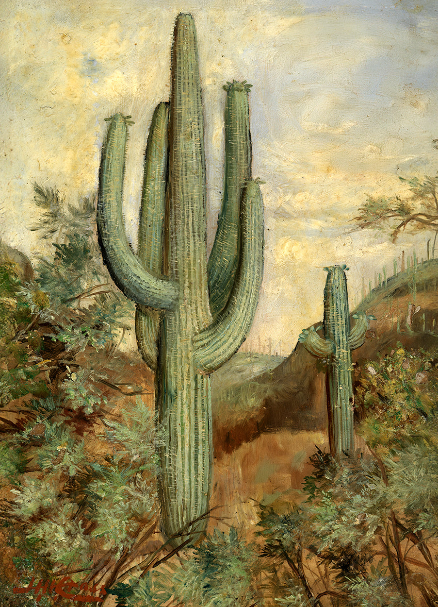 Desert View