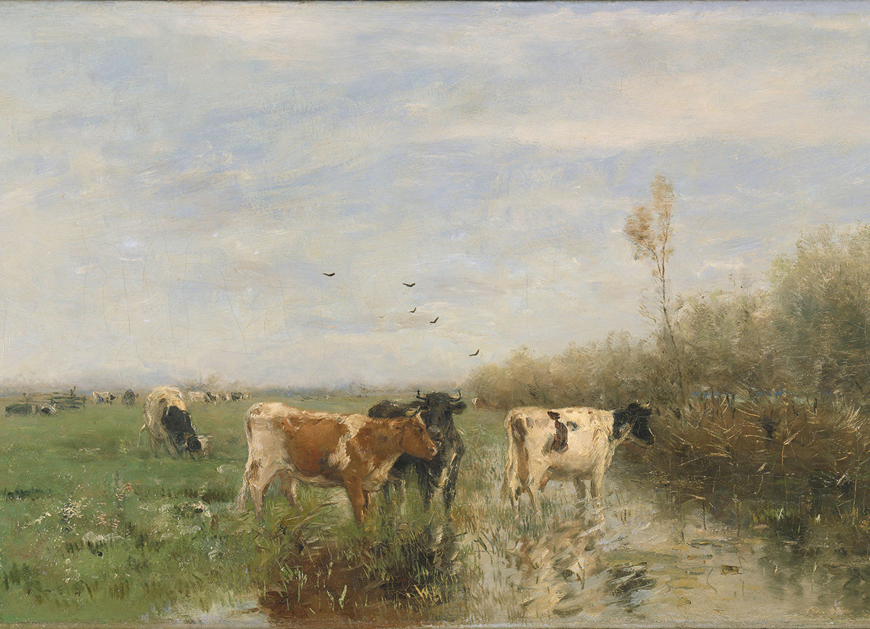 On the Farm