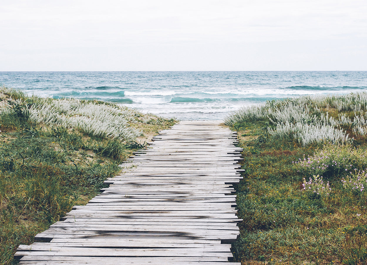 Pathway to the Beach
