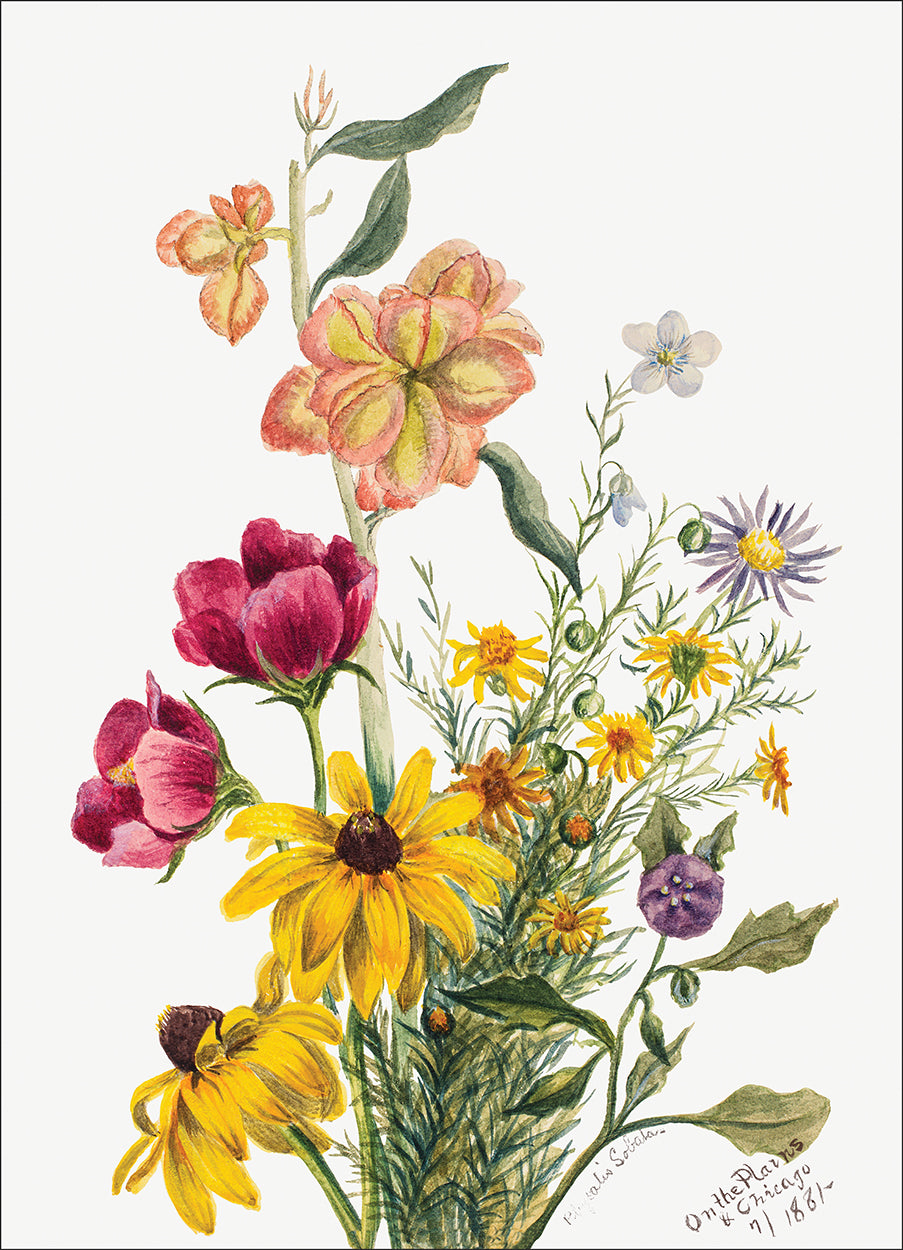 Group of Flowers