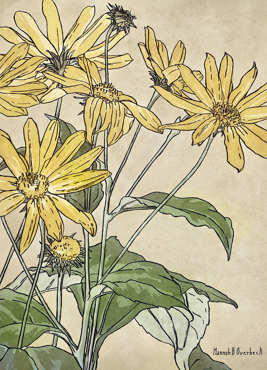 Sunflowers by Overbeck
