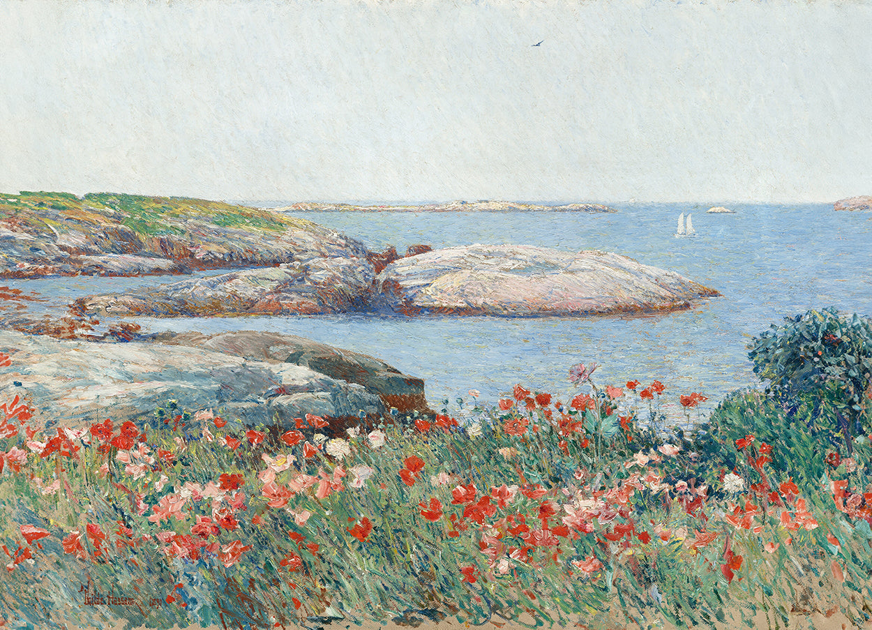 Poppies