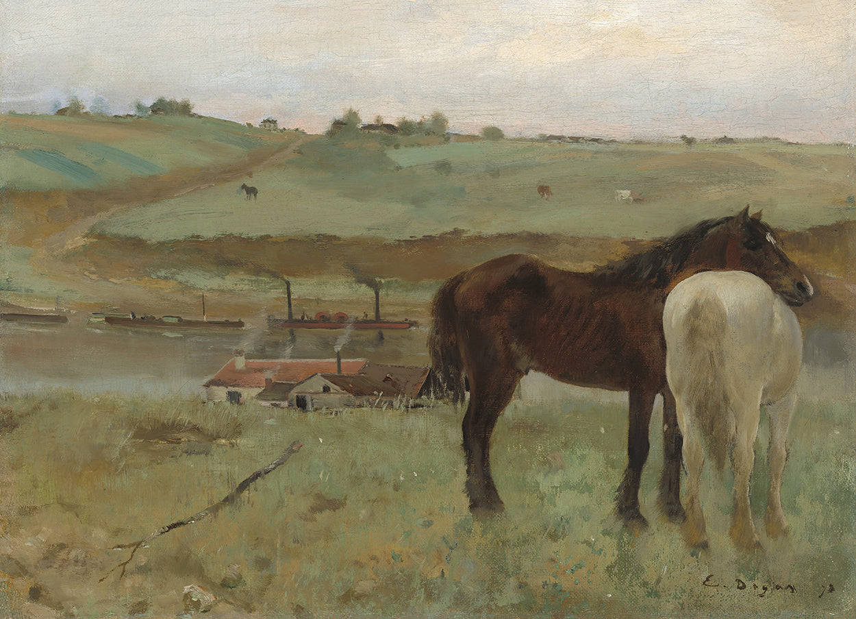 Horse in Meadow
