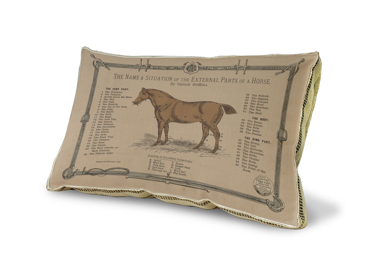 Horse Study pillow
