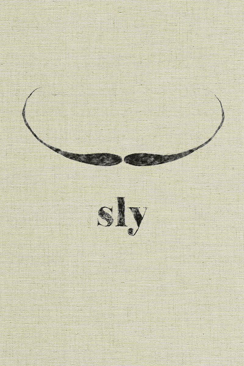 Sly Mustache, fabric wall art