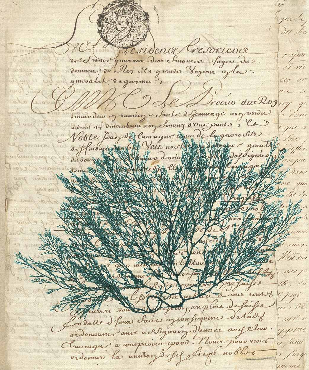 Vintage Teal Seaweed I