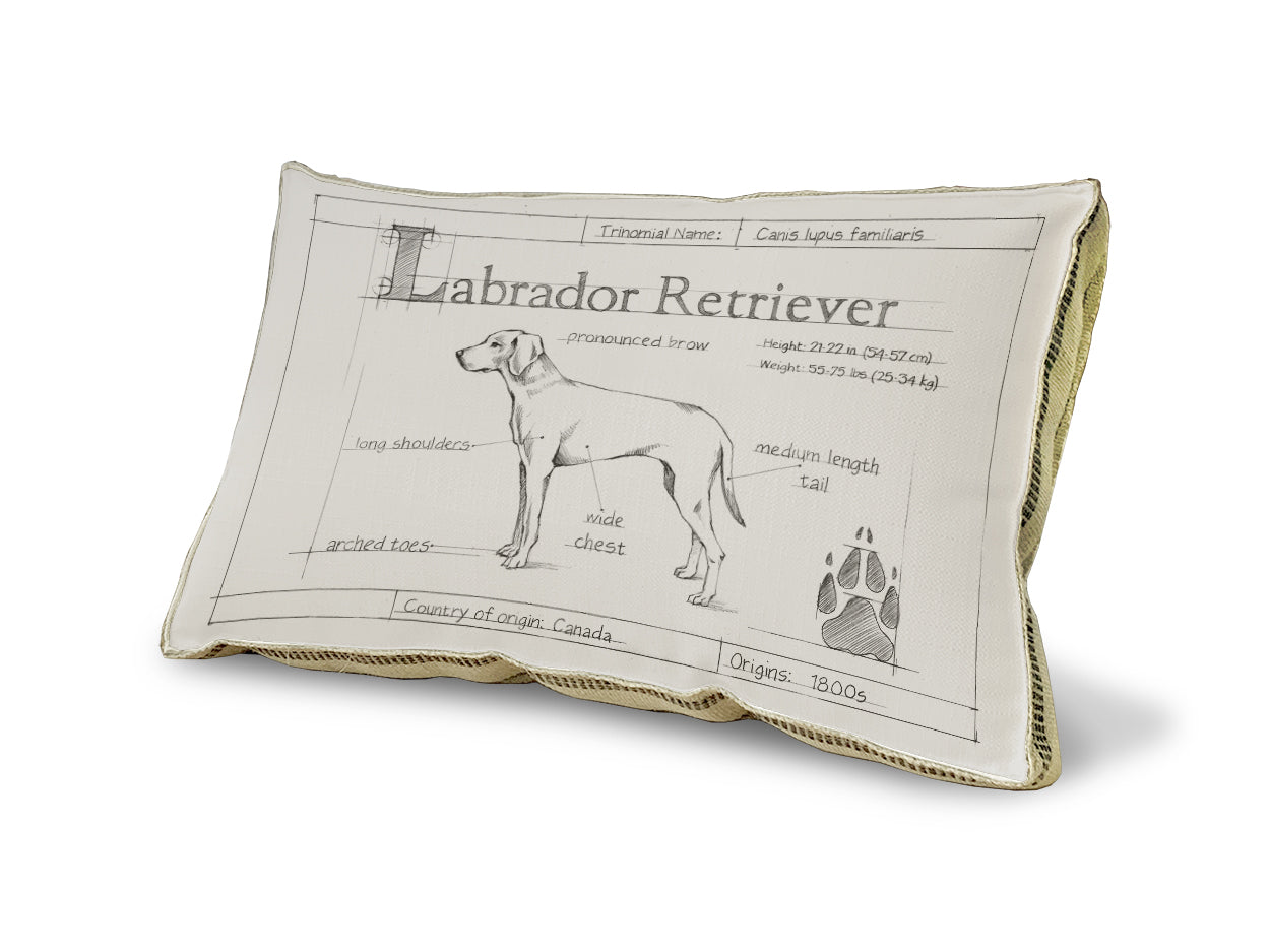 Labrador pillow