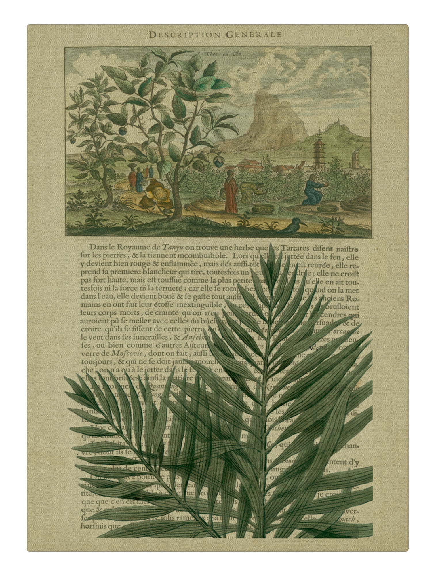 Journal of the Tropics II
